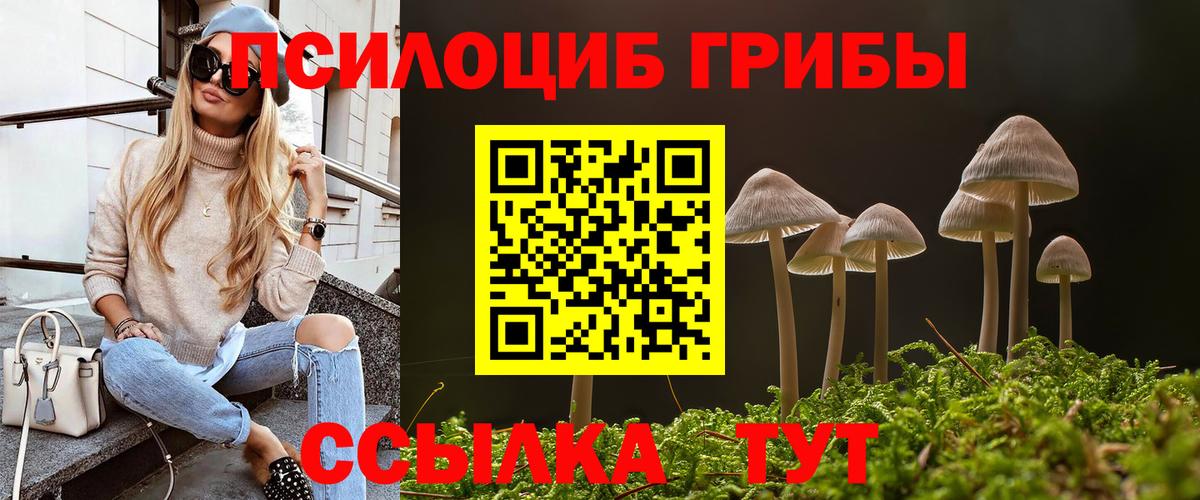Галлюциногенные грибы Magic Shrooms  Вход с VPN  Строитель 