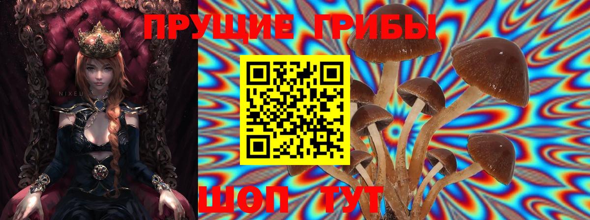 Псилоцибиновые грибы Magic Shrooms Строитель